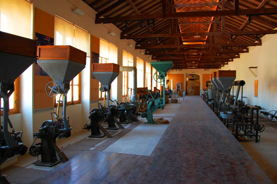 Museu da Cortiça