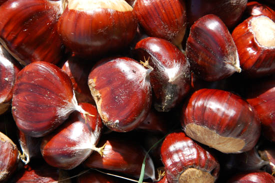 chestnuts_2