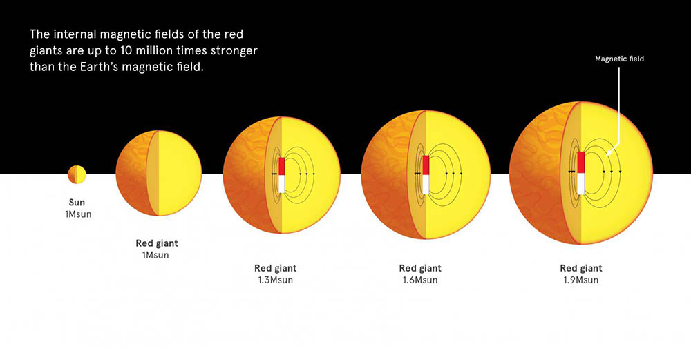 figura 1 - Estrelas gigantes vermelhas a partir de 1,3 massas solares têm fortes campos magnéticos