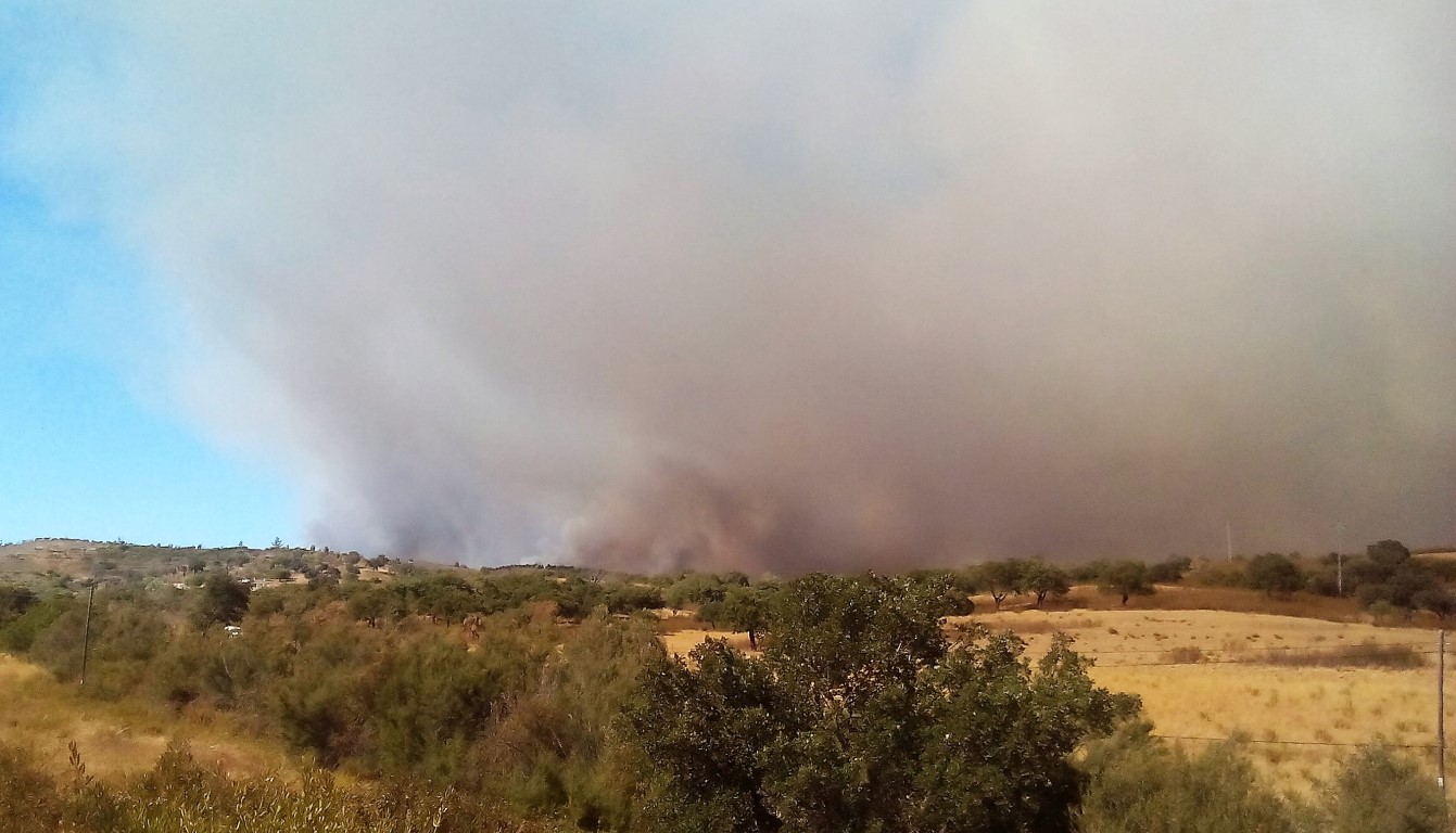  Smoke and  fire in Cima__Foto Elisabete Rodrigues Hills  