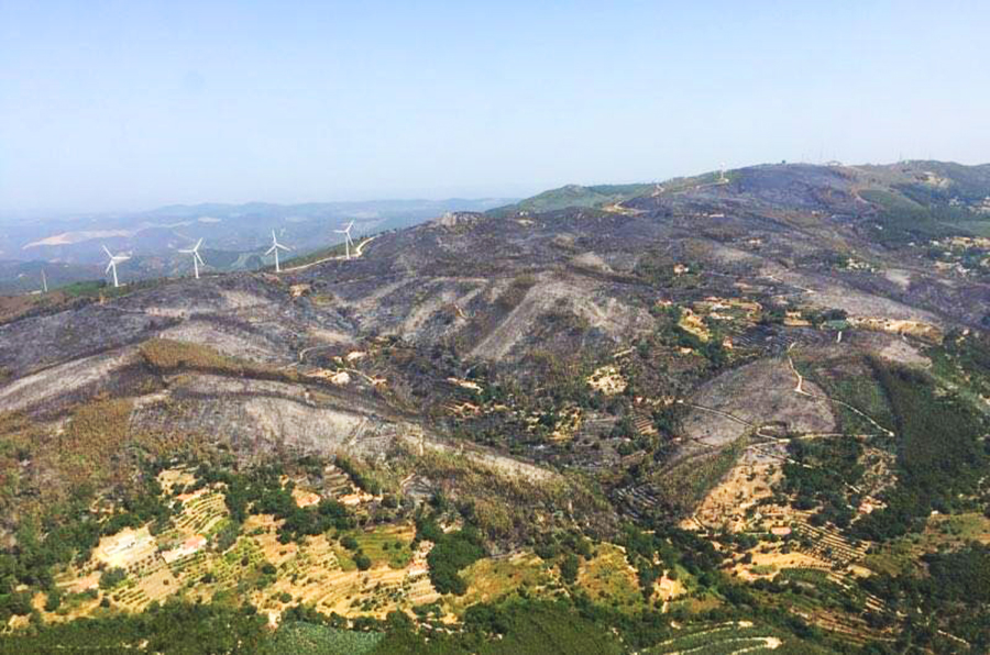 Vista aérea da área queimada na Serra de Monchique-Foto Rui André