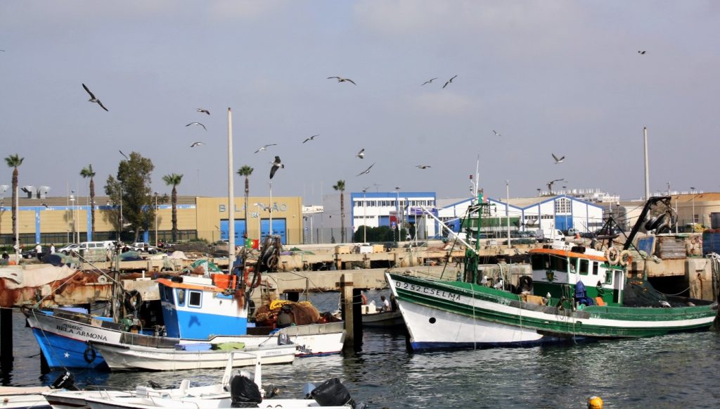Porto de Pesca Olhão Novembro 2016_HR_6