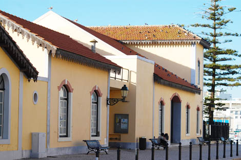 Center-de-Science-Viva-do-Algarve5