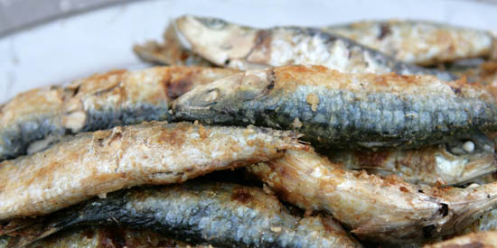 The best grilled sardine is in Portimão from August 13th to 17th - CMP_Filipe da Palma Archive