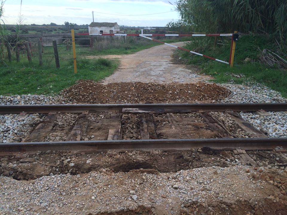 REFER trenches in the Salgados Level Crossing_2