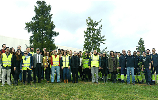 Algar's management and workers in tree planting action