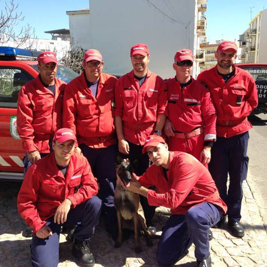 bombeiros a resgatar animal_2 - Cópia