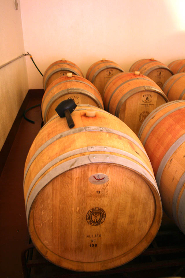 French Oak Barrels_Quinta Morgado da Torre