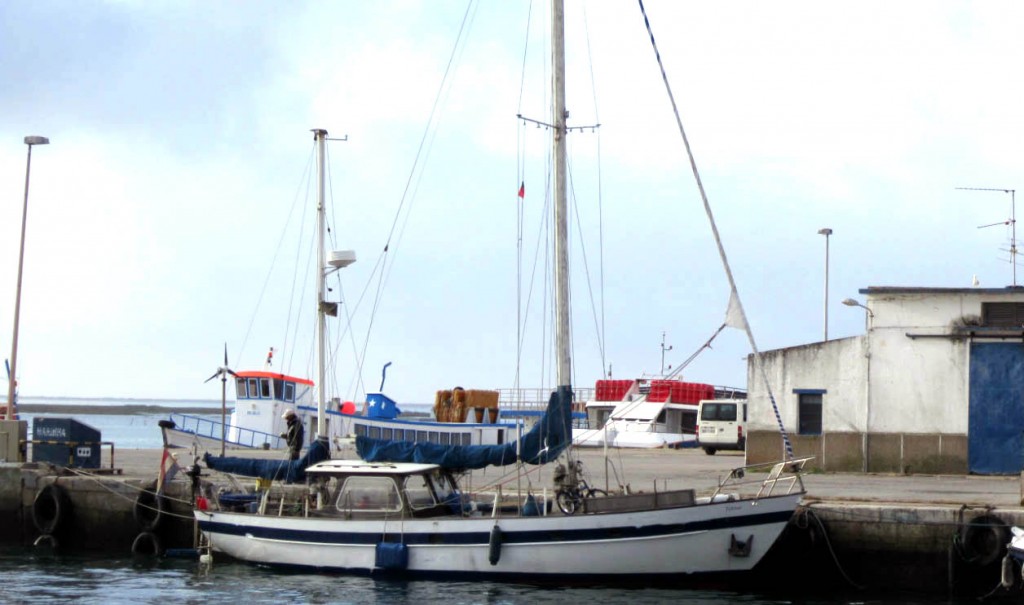 Tobitoo sailboat ran aground off Armona Island