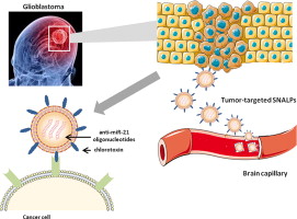 nanoparticulas para tratar tumores cerebrais