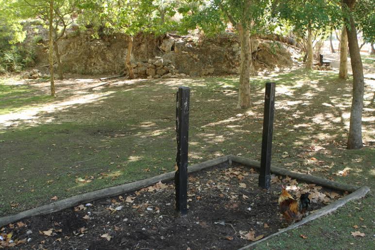 Degradação no Parque da Juventude, que sofre primeiras obras desde abertura em 1996