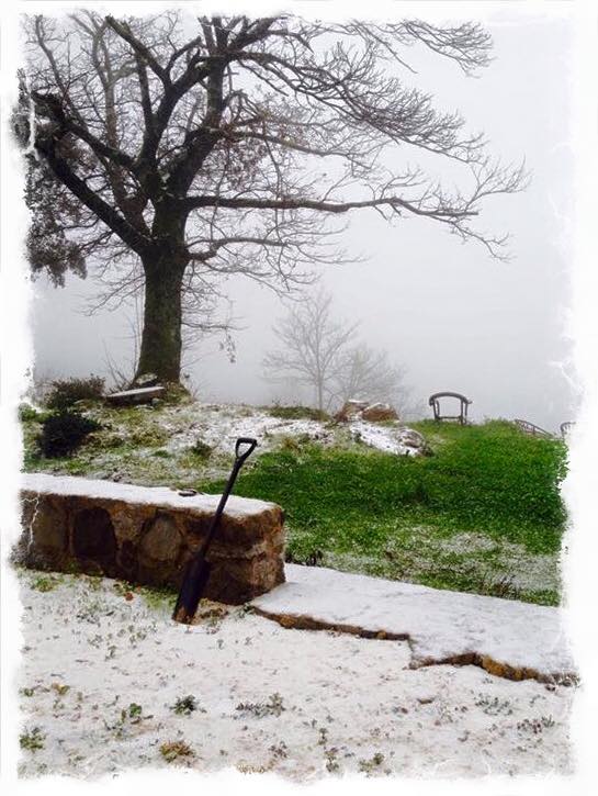 Neve na Serra de Monchique, esta manhã, em foto de Margarida D. , partilhada por Rui André na sua página de facebook