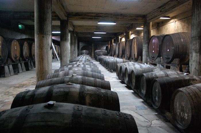 Unique winery in Lagoa