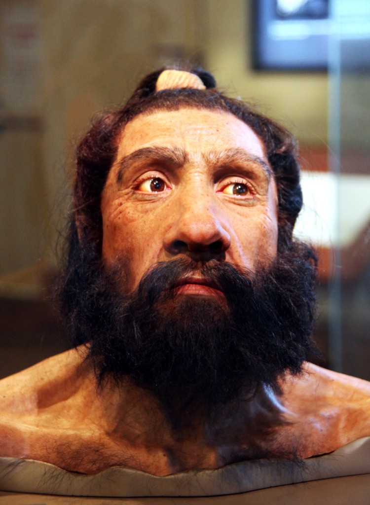 Neanderthal Man head model at the Smithsonian Museum of Natural History - photo by Tim Evanson - http://www.flickr.com/photos/23165290@N00/7283199754/, CC BY-SA 2.0, https://commons. wikimedia.org/w/index.php?curid=20187477