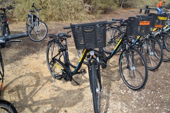 The prepared bicycles