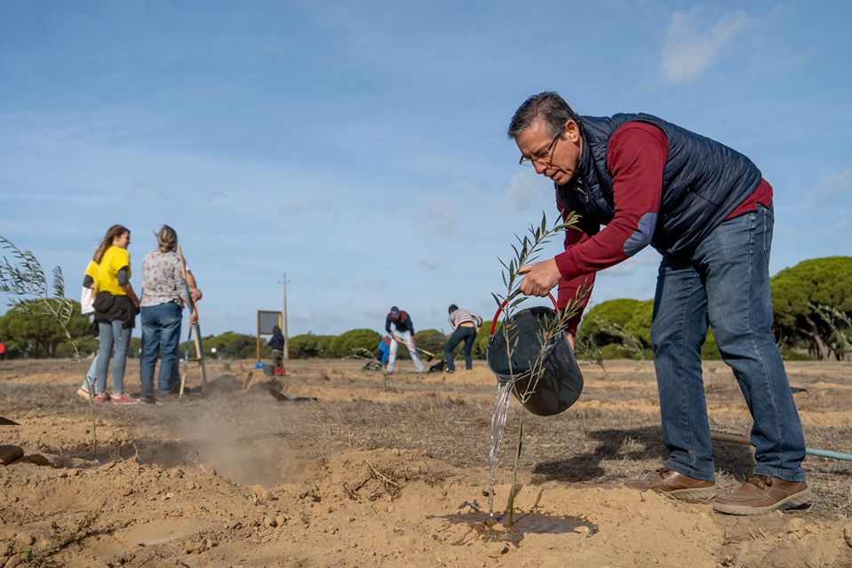 Montanha Verde plantou 42 mil árvores em oito concelhos algarvios - Sul Informacao