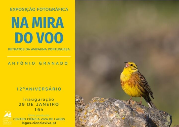 Centro Ciência Viva de Lagos exhibe retratos de aves portuguesas