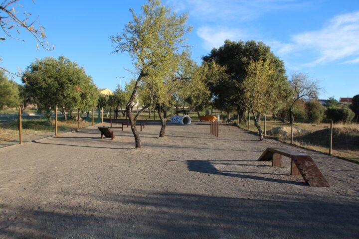 Parque canino