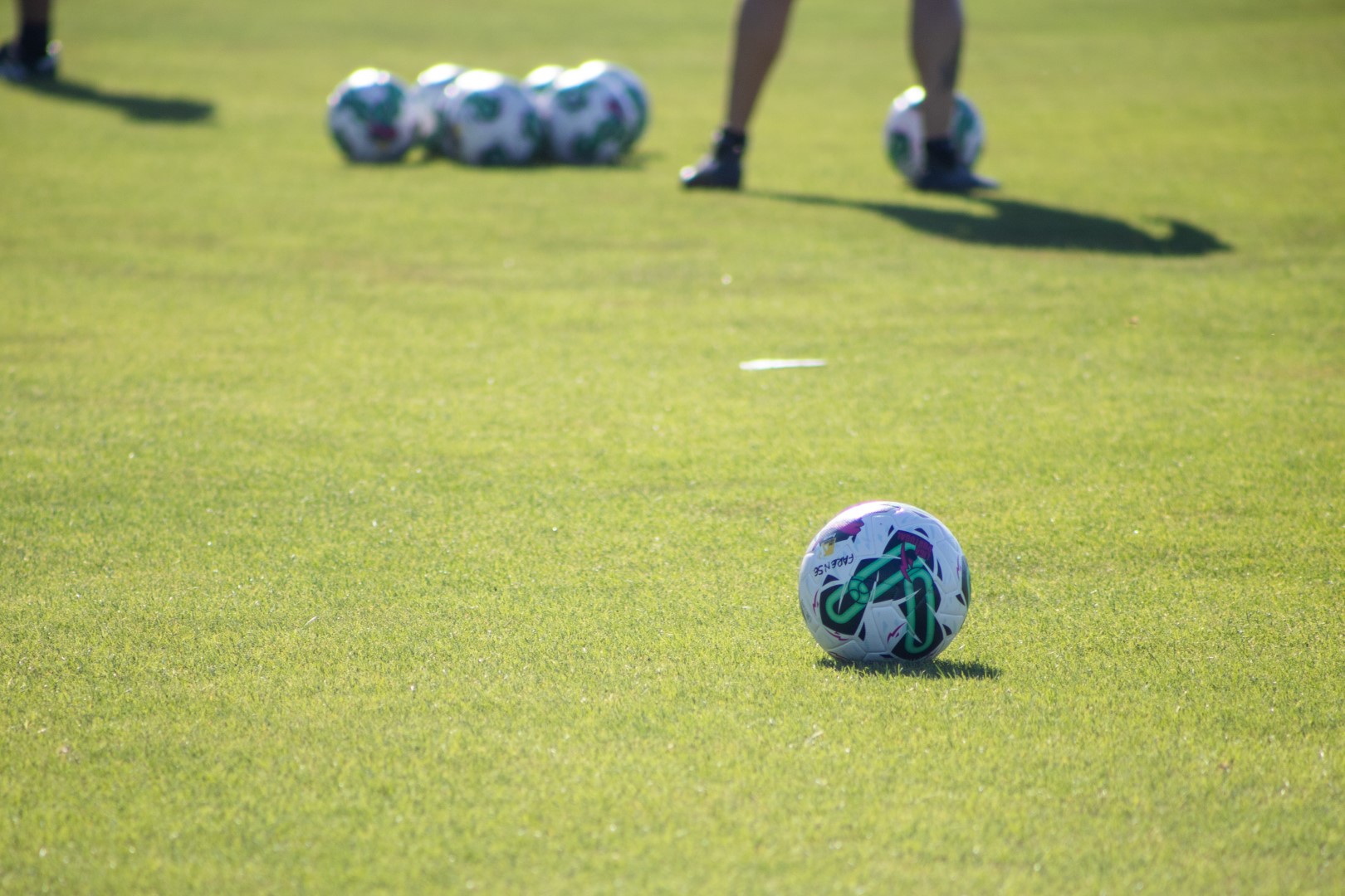 Sul Informação - Farense e Portimonense seguem em frente na Taça da Liga
