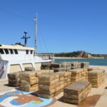 Sul Informação - 10 toneladas de haxixe apanhadas no Estreito de Gibraltar iam para «país africano da bacia do Mediterrâneo»
