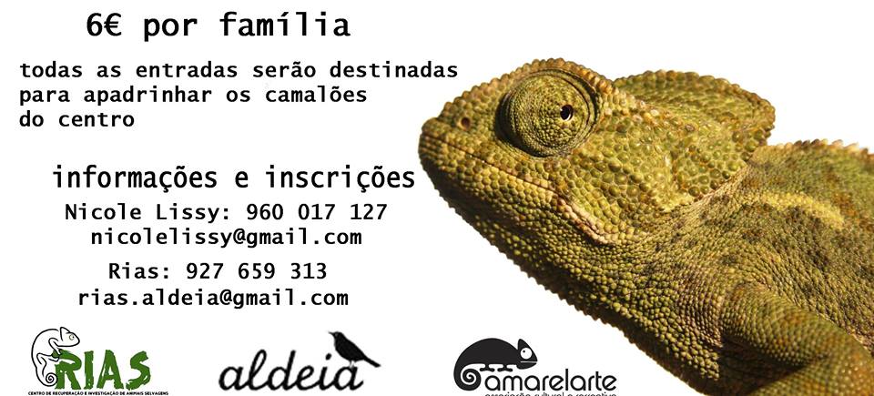 Sul Informação - Amarelarte promove Dia do Camaleão na Ria Formosa