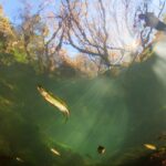 Sul Informação - Concurso de fotografia “A Água pelos meus olhos” já tem vencedores