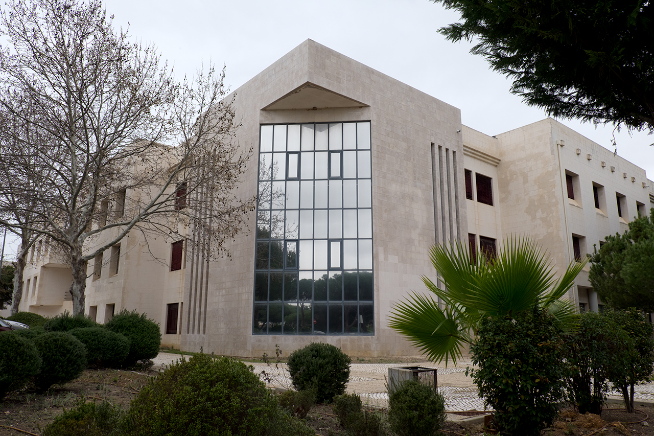 Sul Informação - Voluntários fazem limpeza de mato no Campus de Gambelas da Universidade do Algarve