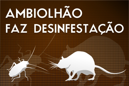 Sul Informação - Ambiolhão faz campanha de desinfestação contra ratos e baratas em todo o concelho