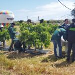Sul Informação - Estudantes de agronomia “bombaram” durante 24 horas