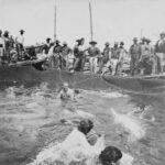 Sul Informação - Museu de Portimão assinala 14.º aniversário com corrida fotográfica e exposições