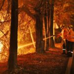 Sul Informação - Há mais bombeiros e sete meios aéreos a combater o incêndio de Monchique (com fotos)
