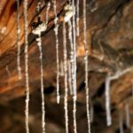 Sul Informação - Uma viagem ao interior da terra…que foi mar