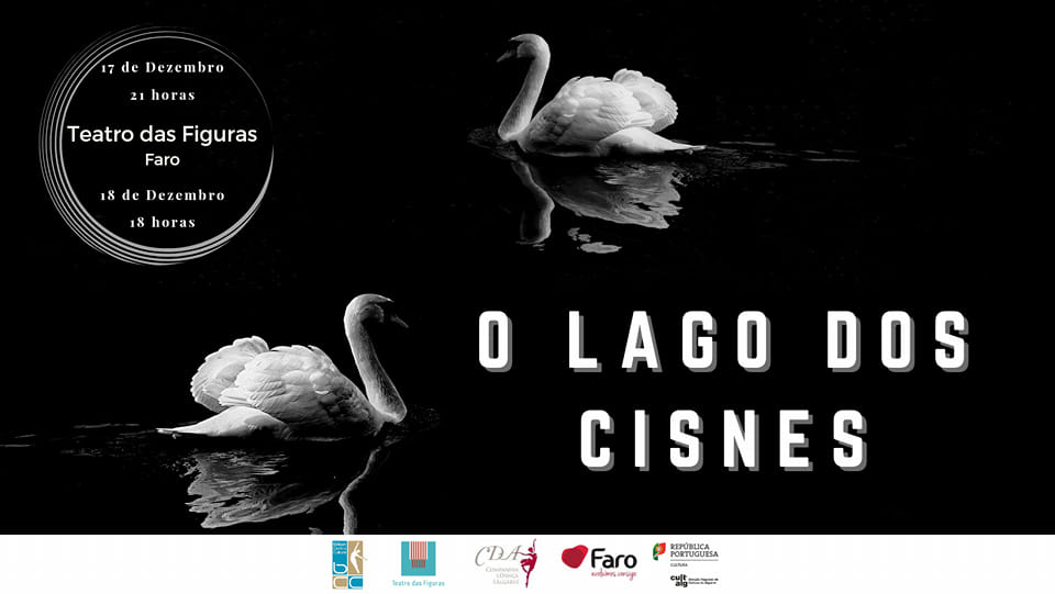 Sul Informação - Bailado “O Lago dos Cisnes” apresentado no Teatro das Figuras