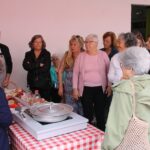 Sul Informação - Universidade Sénior de Alcácer do Sal celebra 14 anos com atividades para alunos e professores