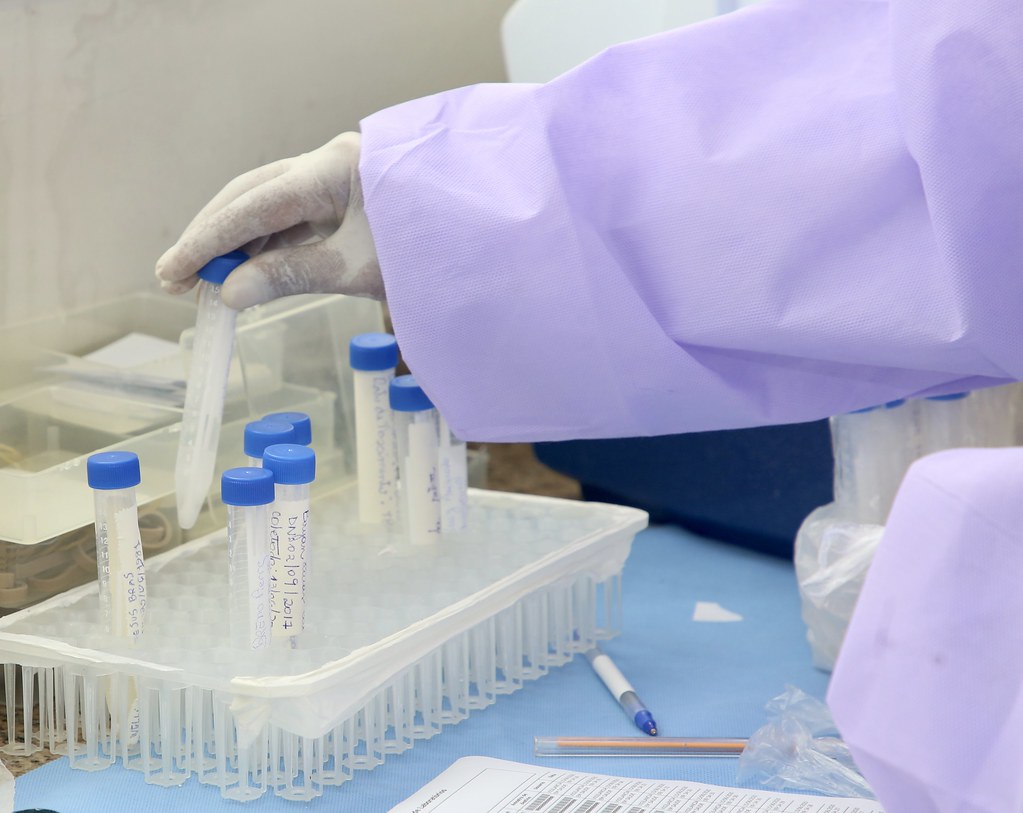Sul Informação - Covid-19: Alentejo tem 50 novos casos, Portugal bate novo recorde