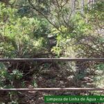 Sul Informação - Sapadores Florestais de São Brás de Alportel completam 5 anos de atividade