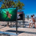 Sul Informação - João Rodrigues mostra o «ASul profundo» do mar do Algarve na Baixa de Faro