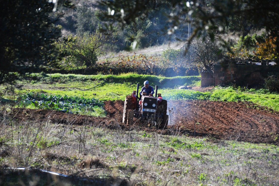 Sul Informação - O ciclo turístico e a agricultura familiar algarvia