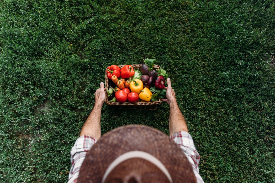 Sul Informação - CAP anuncia reversão dos cortes nas ajudas para agricultores