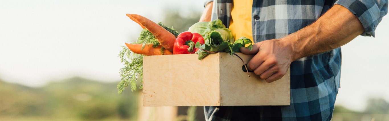 Sul Informação - Jornadas Técnicas em Agricultura Biológica do Algarve marcadas para Tavira e Faro
