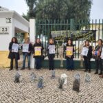 Sul Informação - Professores continuam em greve nas escolas de todo o Algarve