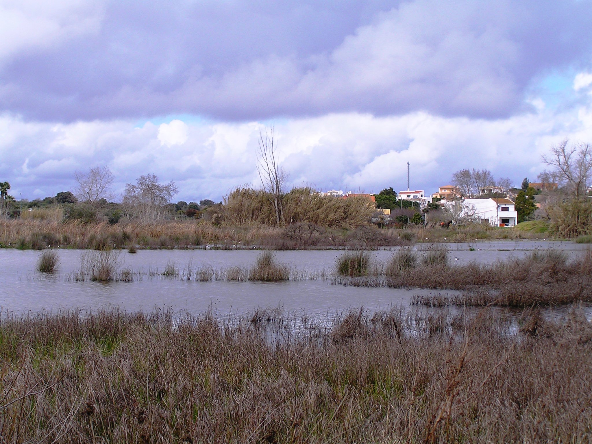 Sul Informação - Almargem faz candidatura ao Fundo Ambiental para proteger as zonas húmidas do Algarve