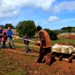 Sul Informação - FOTOGALERIA: 800 pessoas viajaram até à Pré-História em Alcalar