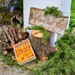 Sul Informação - Fotogaleria: Natal “Verde” e à antiga? É na Aldeia de Parises