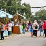 Sul Informação - Fotogaleria: Natal “Verde” e à antiga? É na Aldeia de Parises
