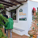 Sul Informação - Fotogaleria: Natal “Verde” e à antiga? É na Aldeia de Parises