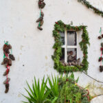 Sul Informação - Fotogaleria: Natal “Verde” e à antiga? É na Aldeia de Parises