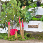 Sul Informação - Fotogaleria: Natal “Verde” e à antiga? É na Aldeia de Parises