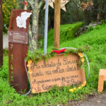 Sul Informação - Fotogaleria: Natal “Verde” e à antiga? É na Aldeia de Parises