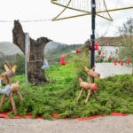 Sul Informação - Fotogaleria: Natal “Verde” e à antiga? É na Aldeia de Parises